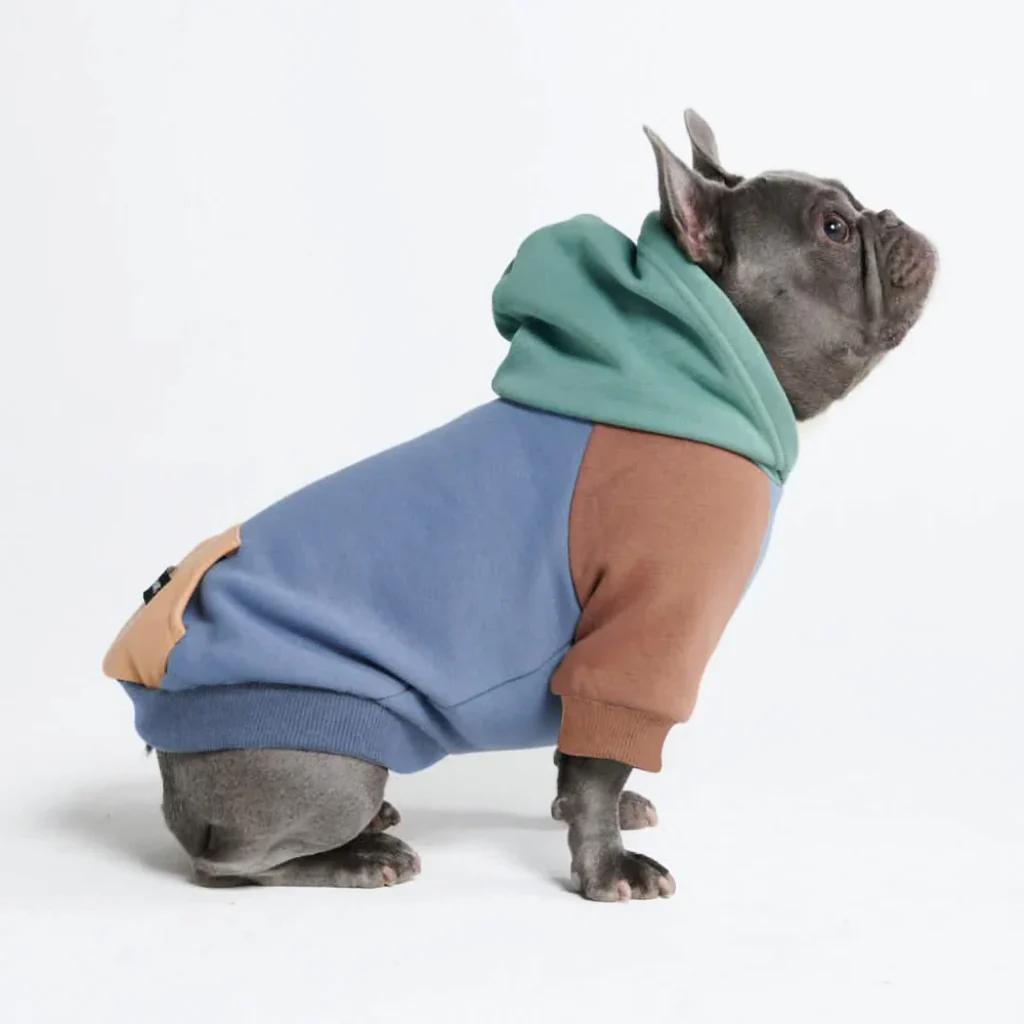 Felpa con cappuccio color block per cani - Image 25