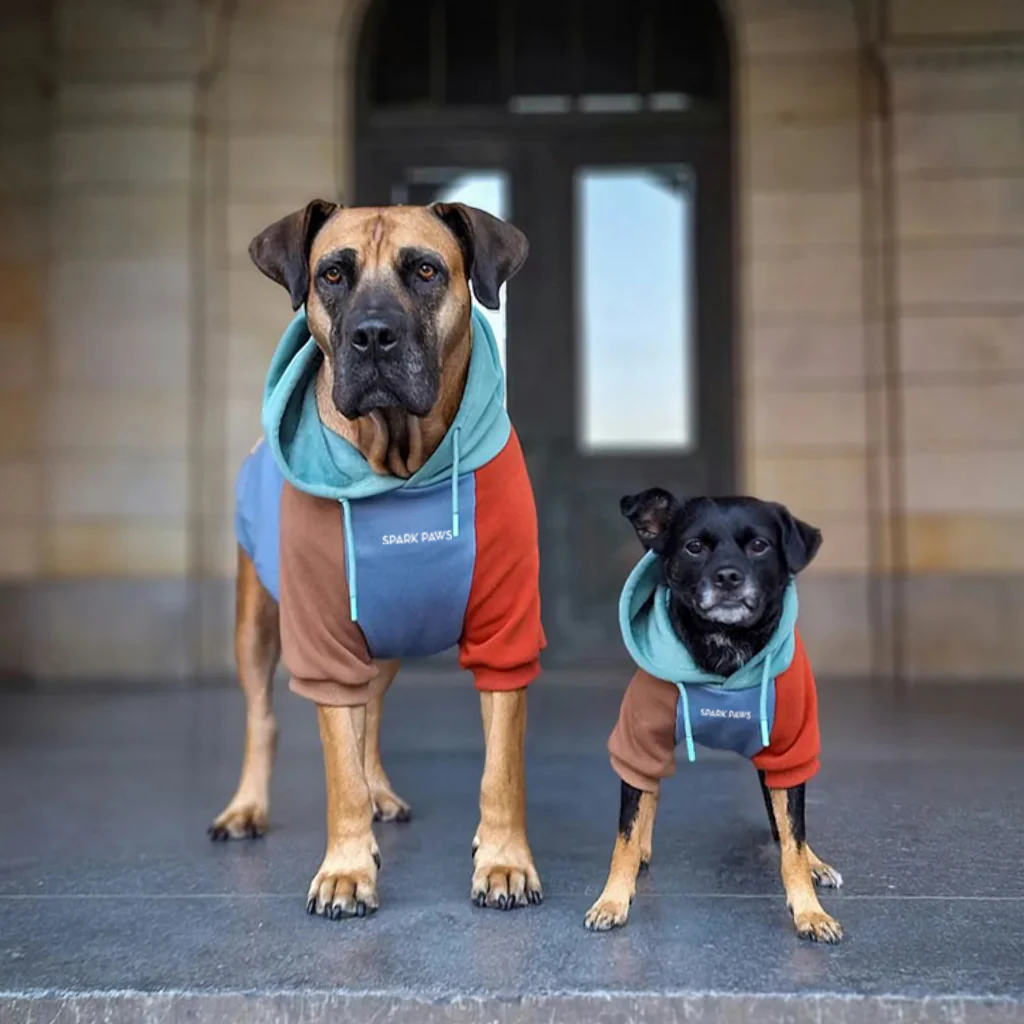 Felpa con cappuccio color block per cani - Image 37