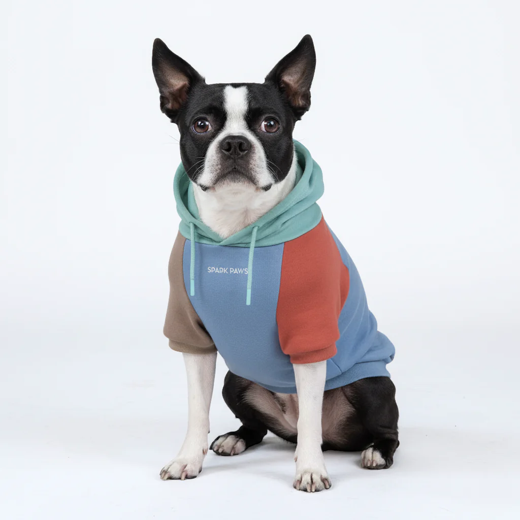Felpa con cappuccio color block per cani - Image 27