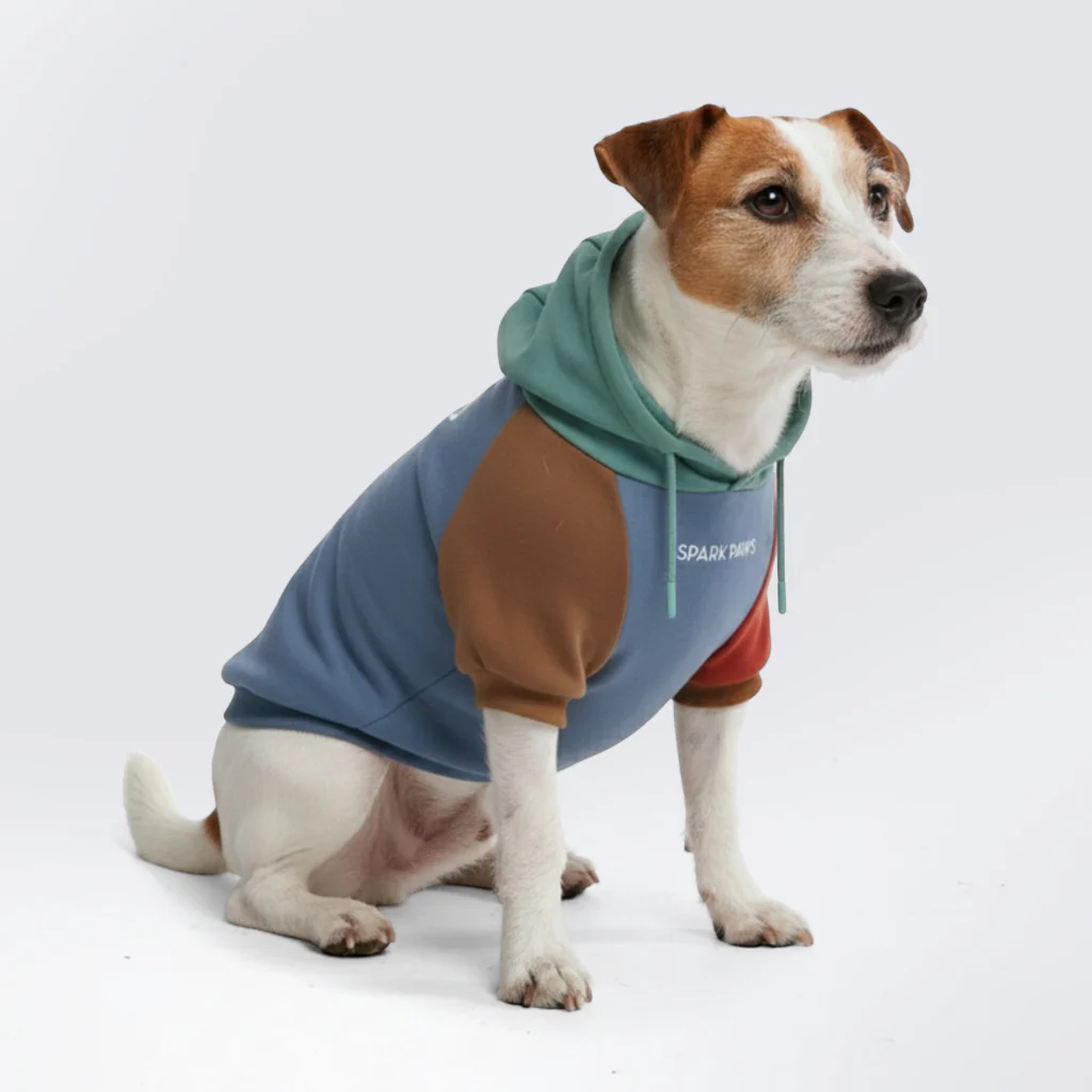 Felpa con cappuccio color block per cani - Image 28