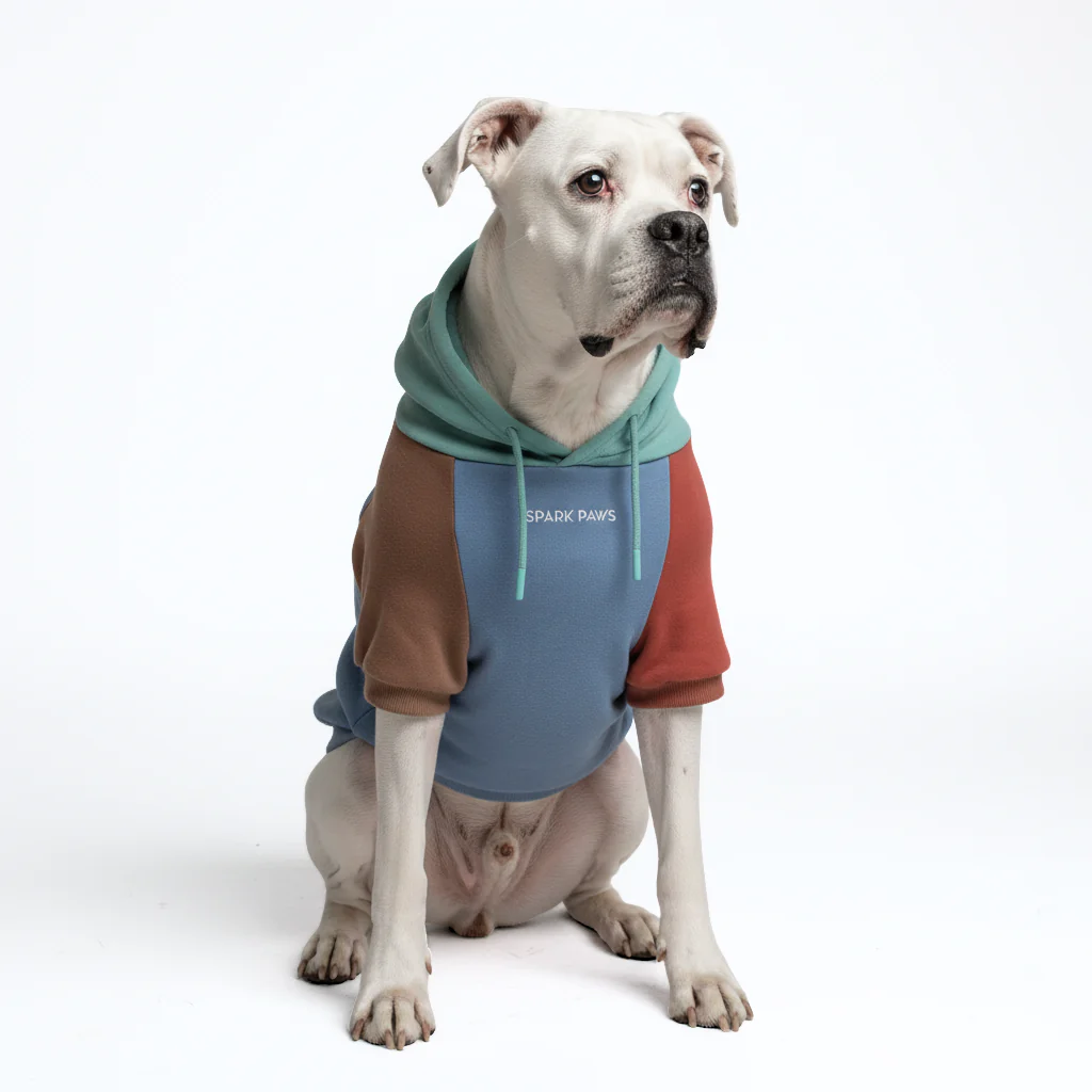 Felpa con cappuccio color block per cani - Image 31