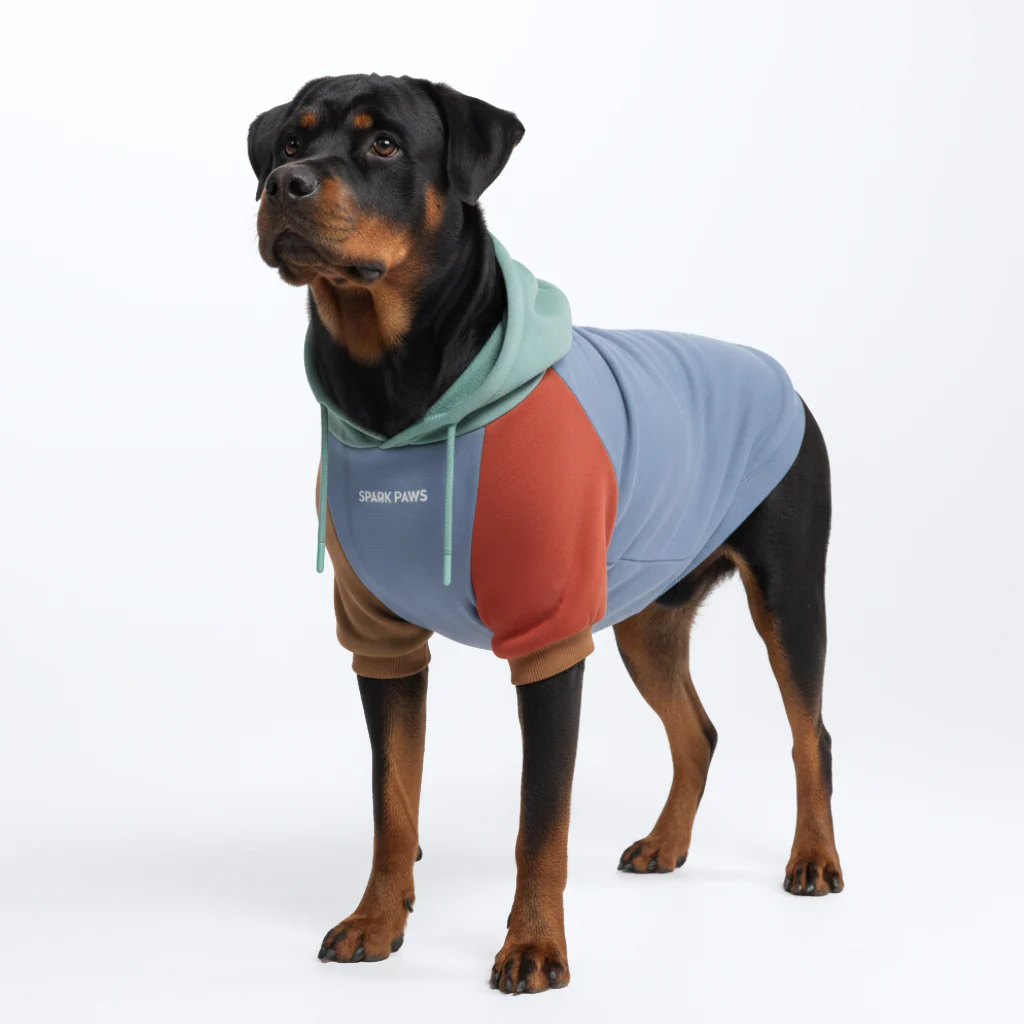 Felpa con cappuccio color block per cani - Image 32