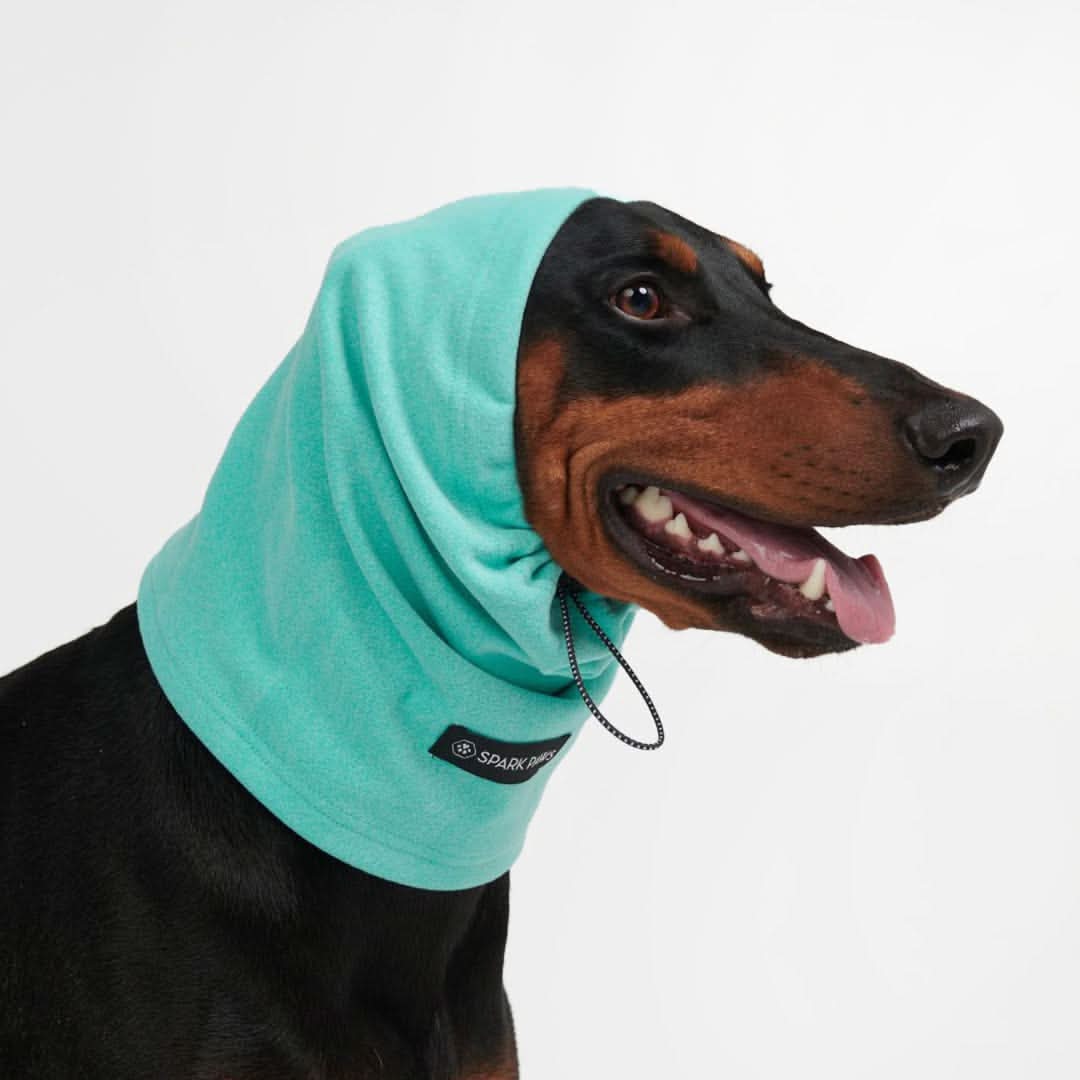 Protettore per Cuffie per Orecchie Calmanti Antiansia per Cani - Image 10