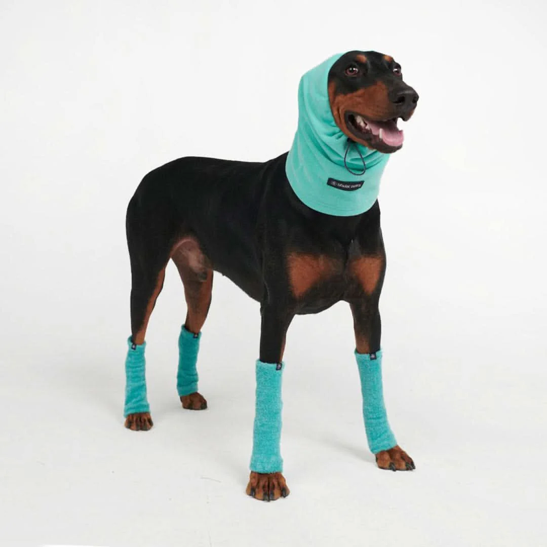 Protettore per Cuffie per Orecchie Calmanti Antiansia per Cani - Image 11
