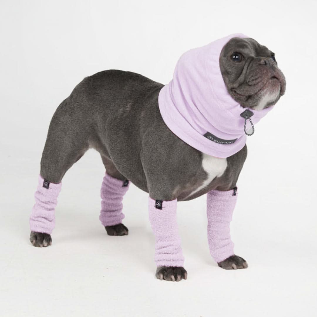 Protettore per Cuffie per Orecchie Calmanti Antiansia per Cani - Image 5