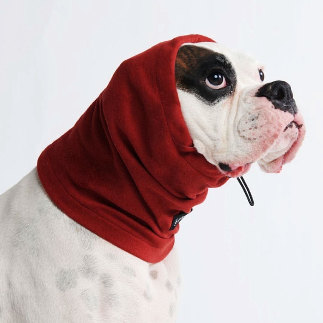 Protettore per Cuffie per Orecchie Calmanti Antiansia per Cani - Image 8