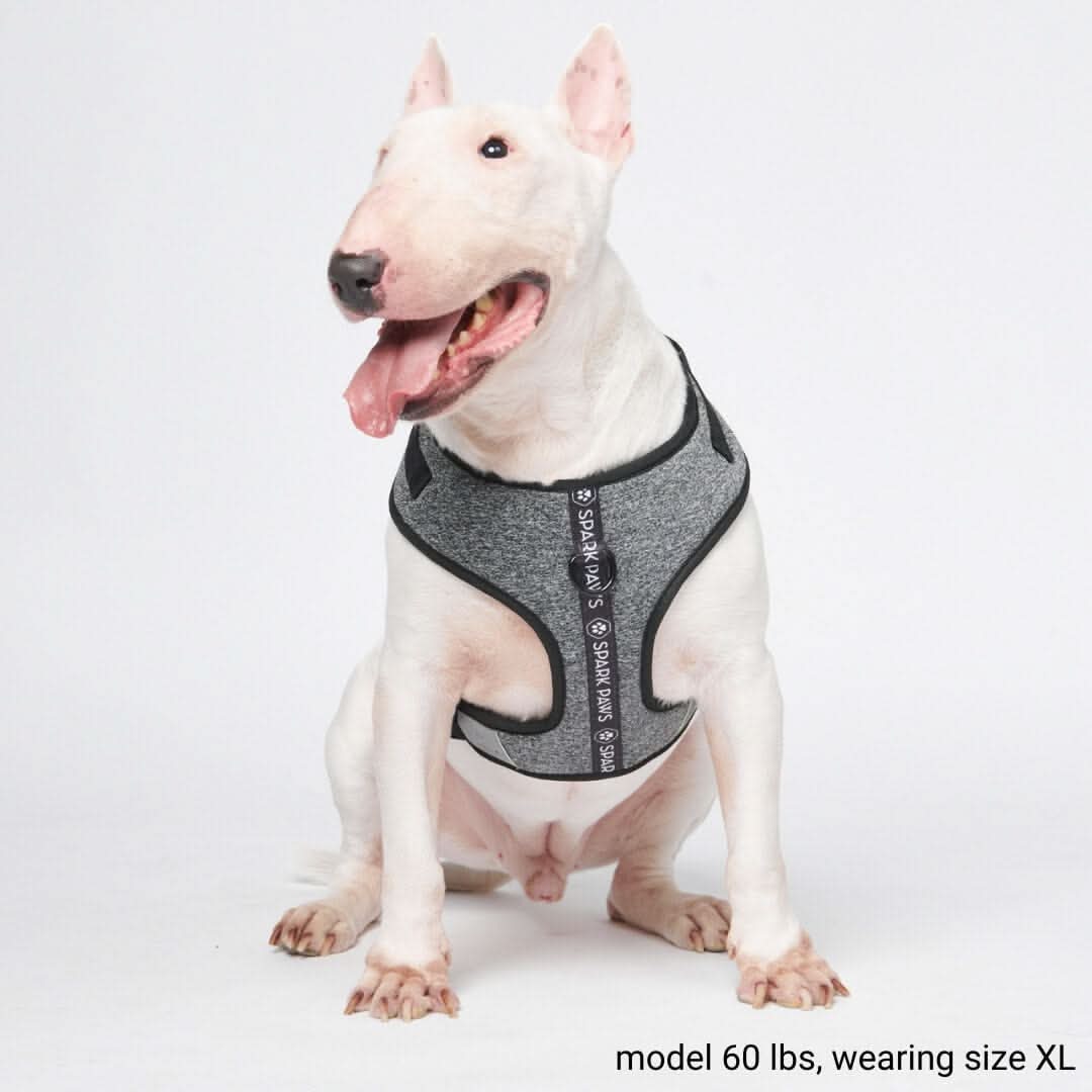 Pettorina per cani Yogawear - Image 4