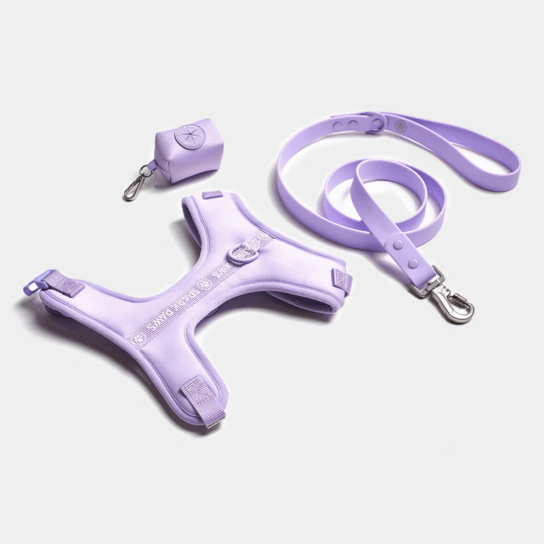 Set Pettorina Yogawear - Image 5