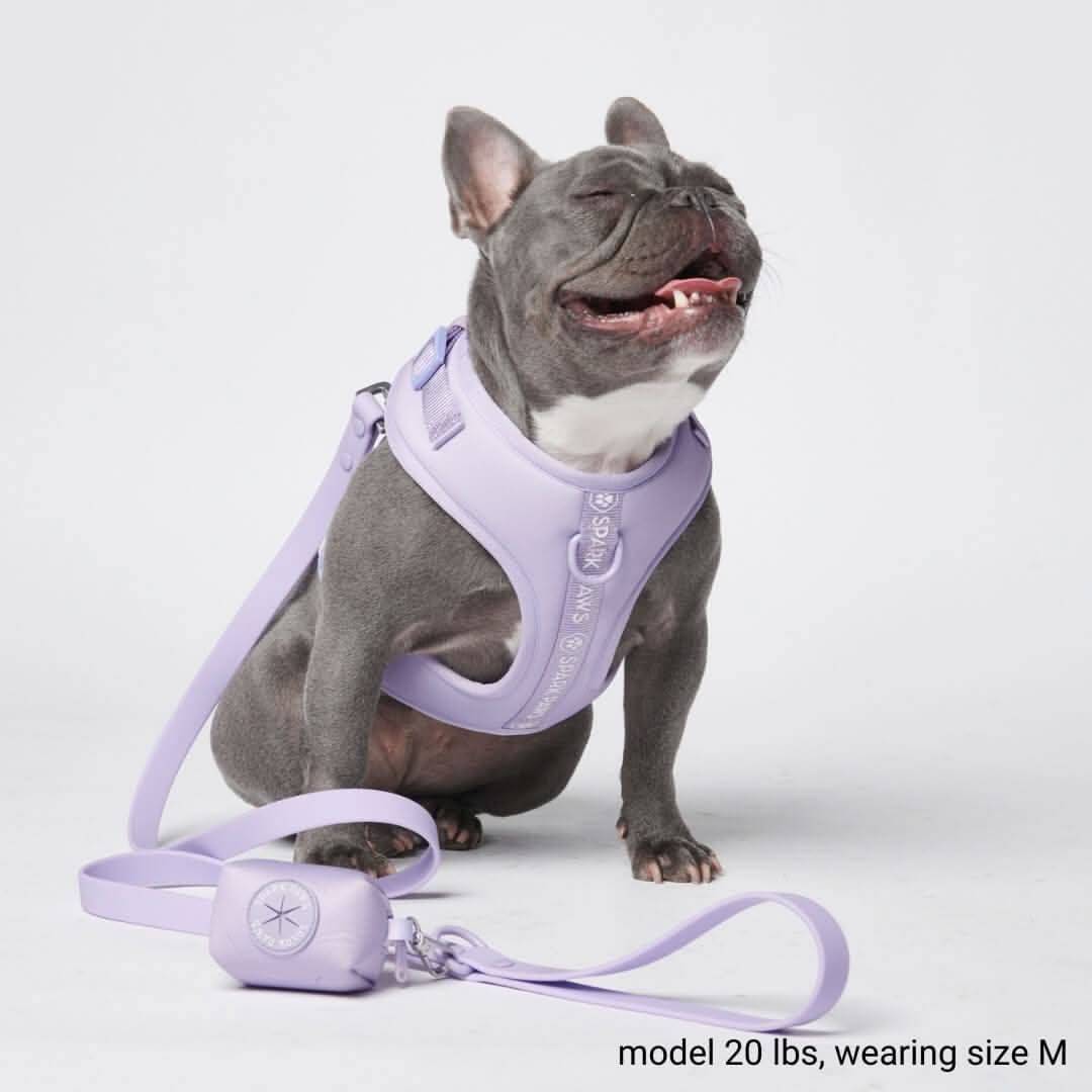 Set Pettorina Yogawear - Image 6