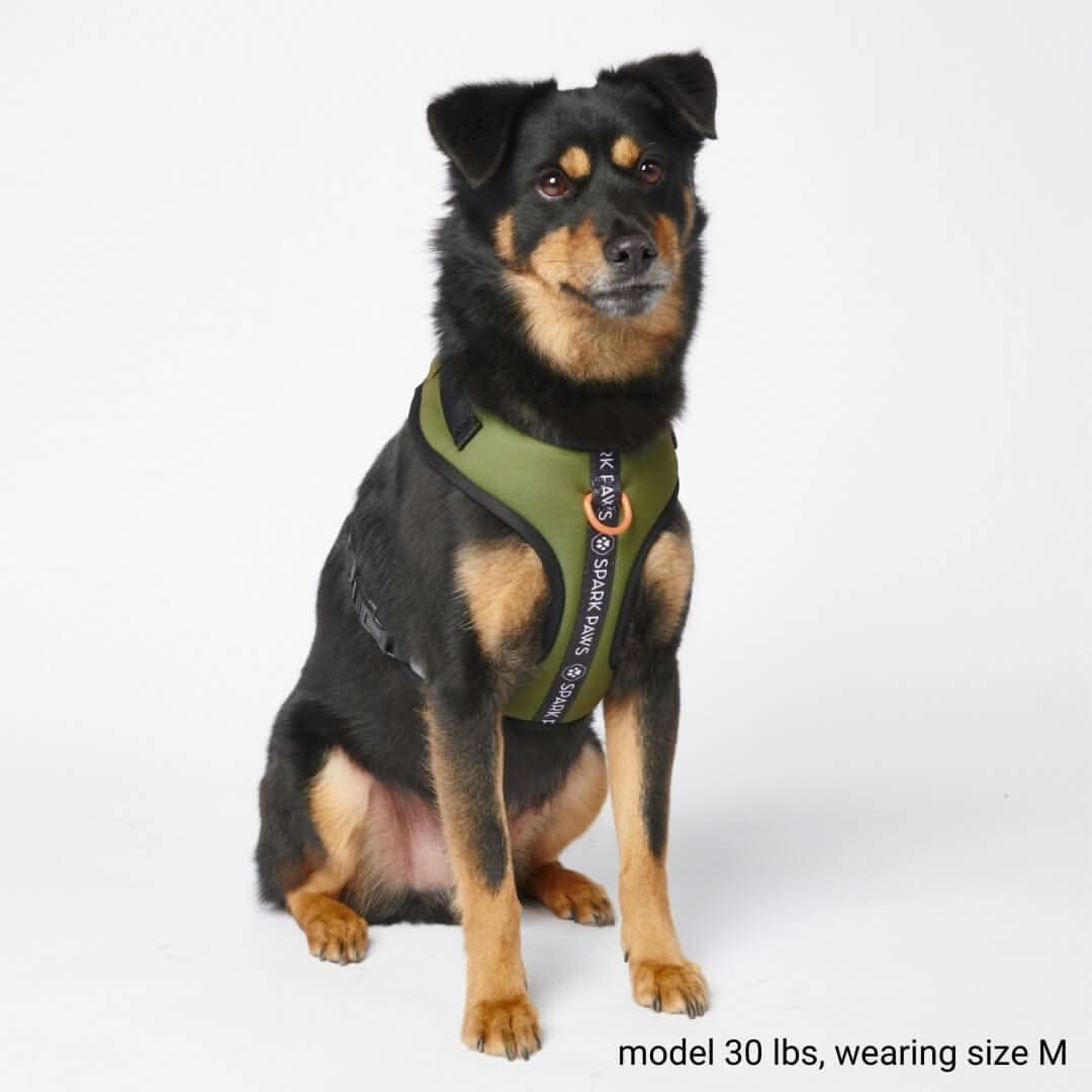 Pettorina per Cani Yogawear - Verde - Image 3