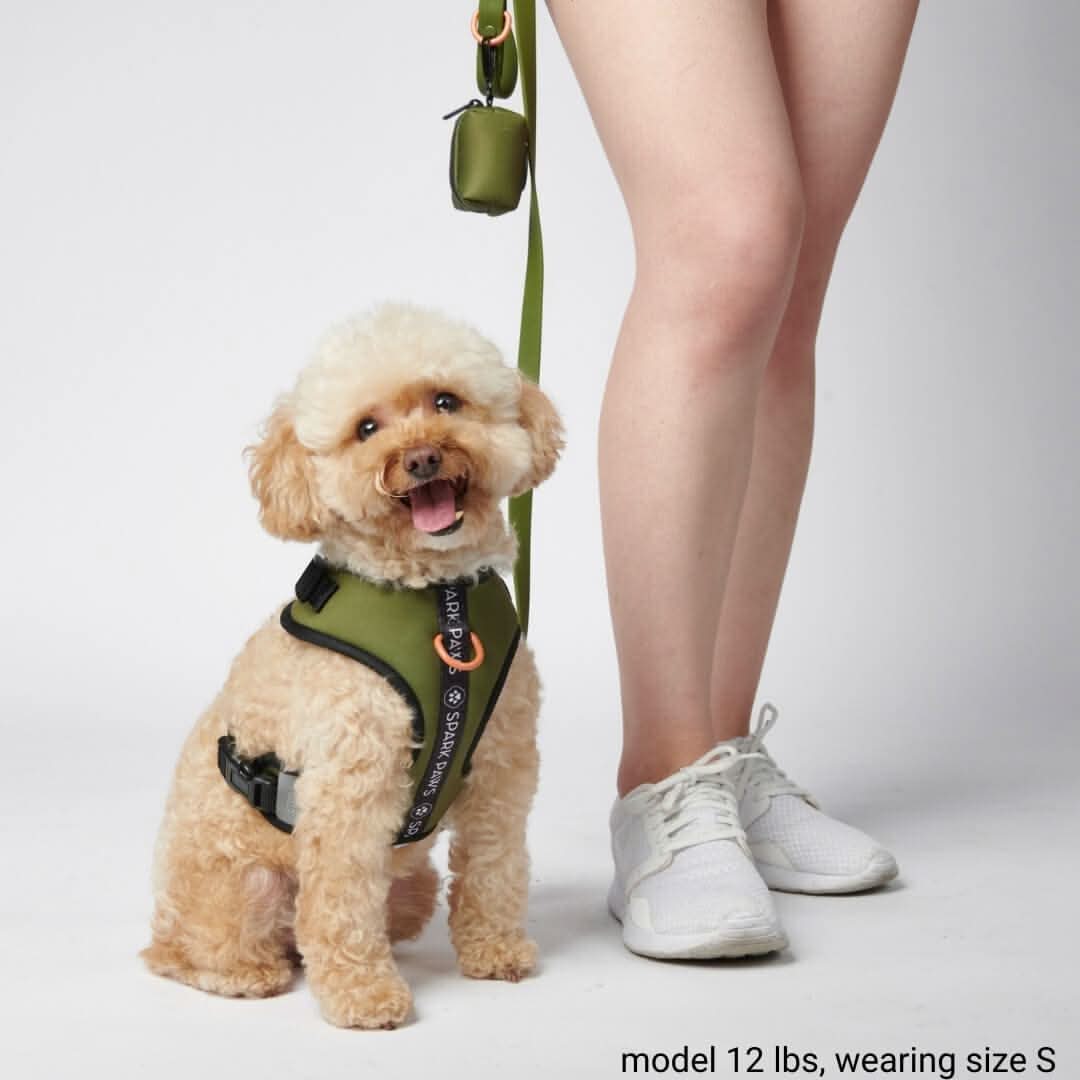 Pettorina per Cani Yogawear - Verde - Image 7