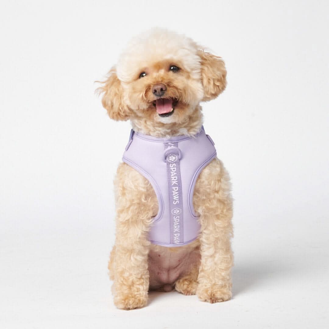 Pettorina per Cani Yogawear - Lilla - Image 4