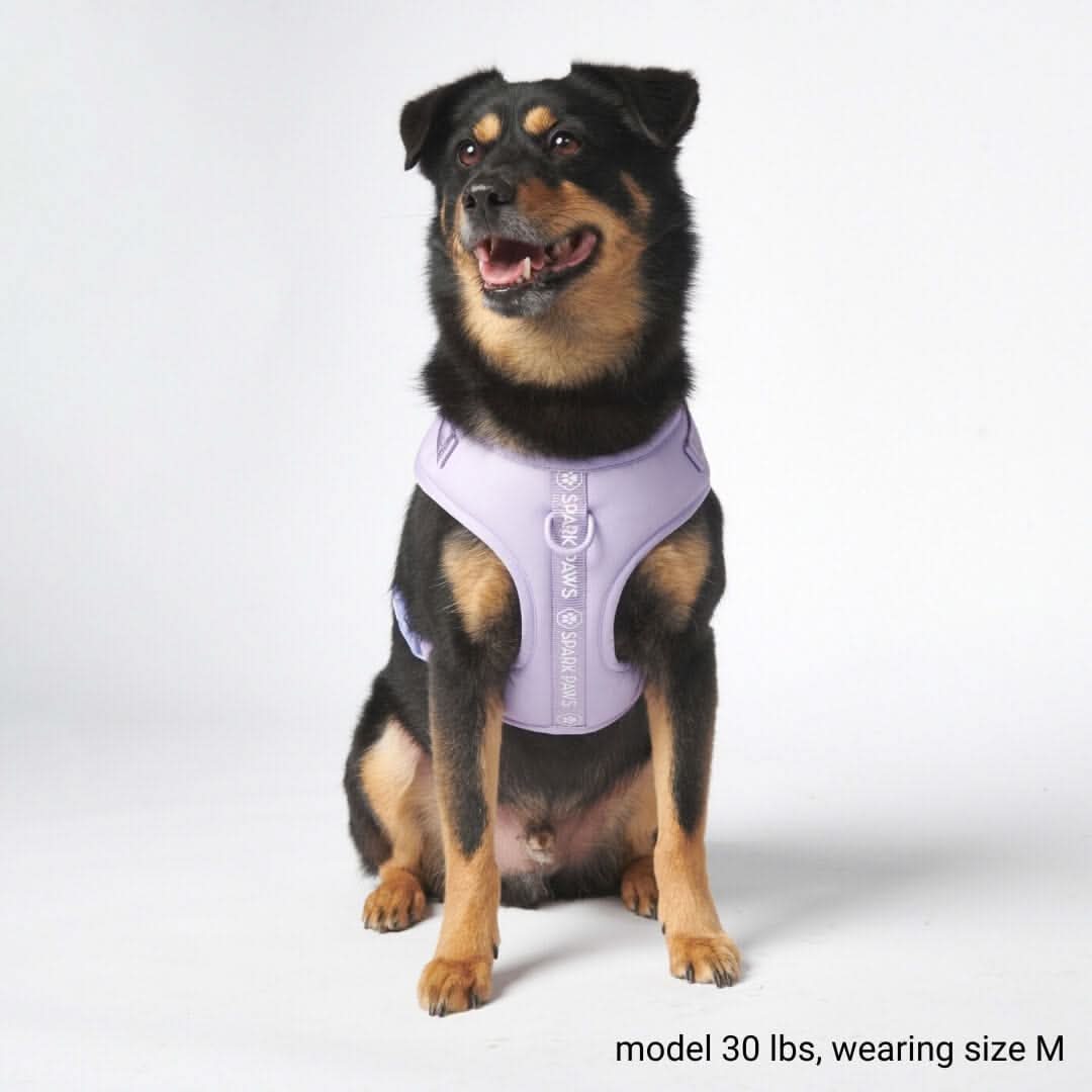 Pettorina per Cani Yogawear - Lilla - Image 7