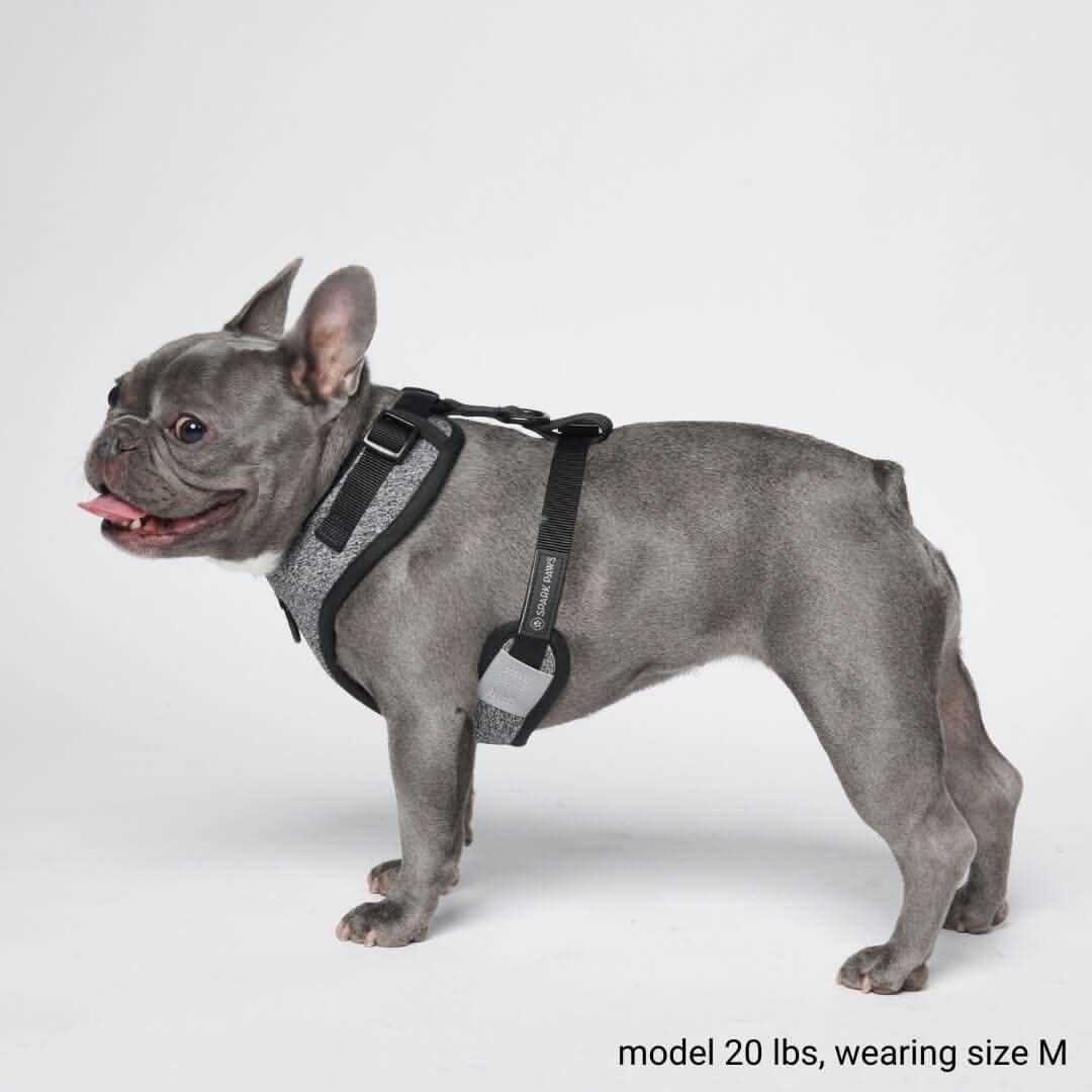 Pettorina per Cani Yogawear - Grigio - Image 5
