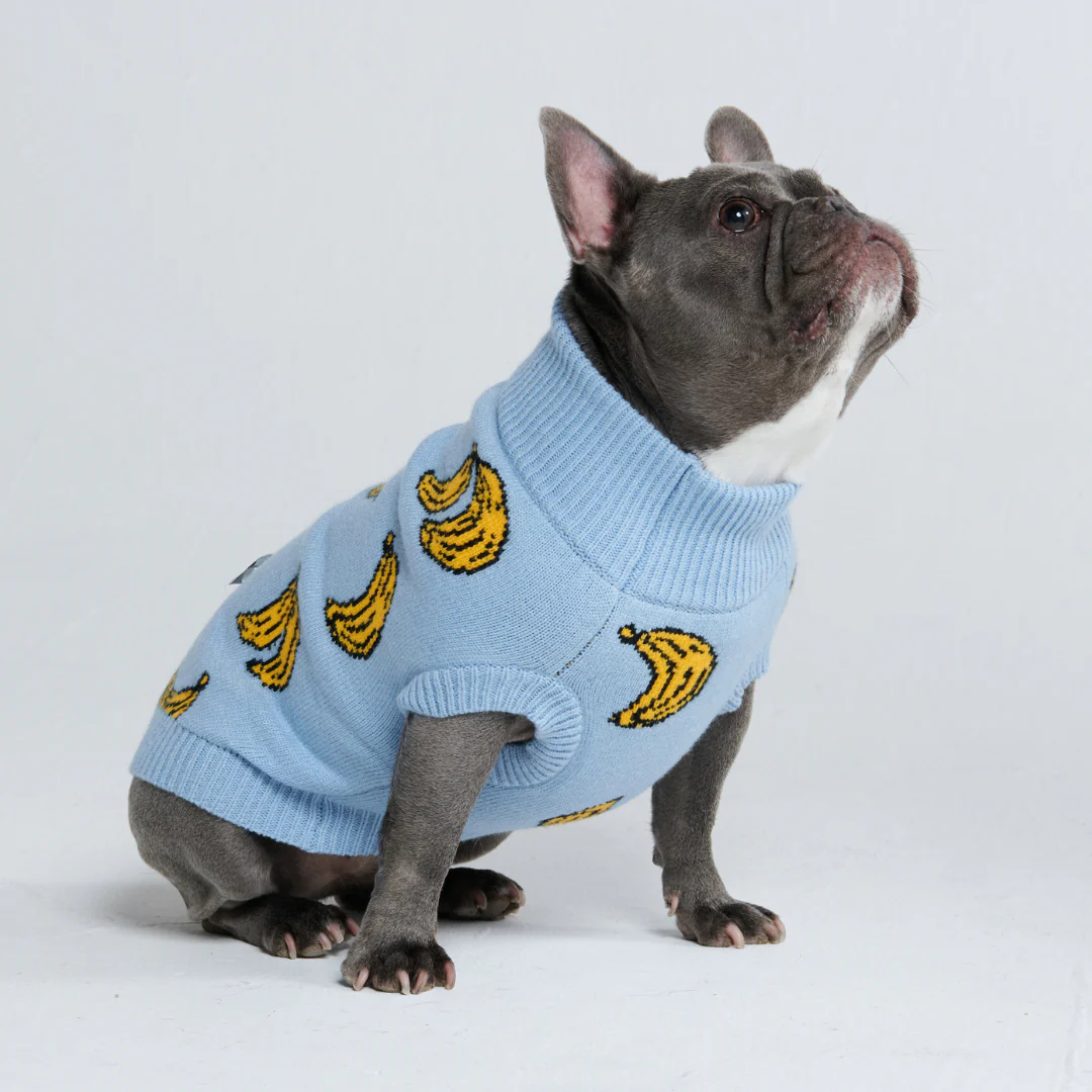 Maglione per cane lavorato a maglia - Banana - Image 4