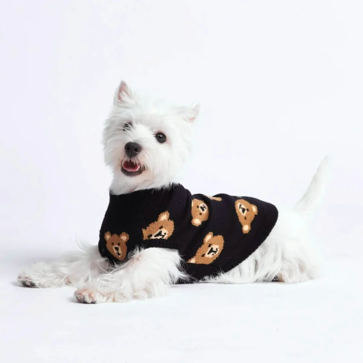 Maglione per cane lavorato a maglia - Orsetto di pezza rotto - Image 4