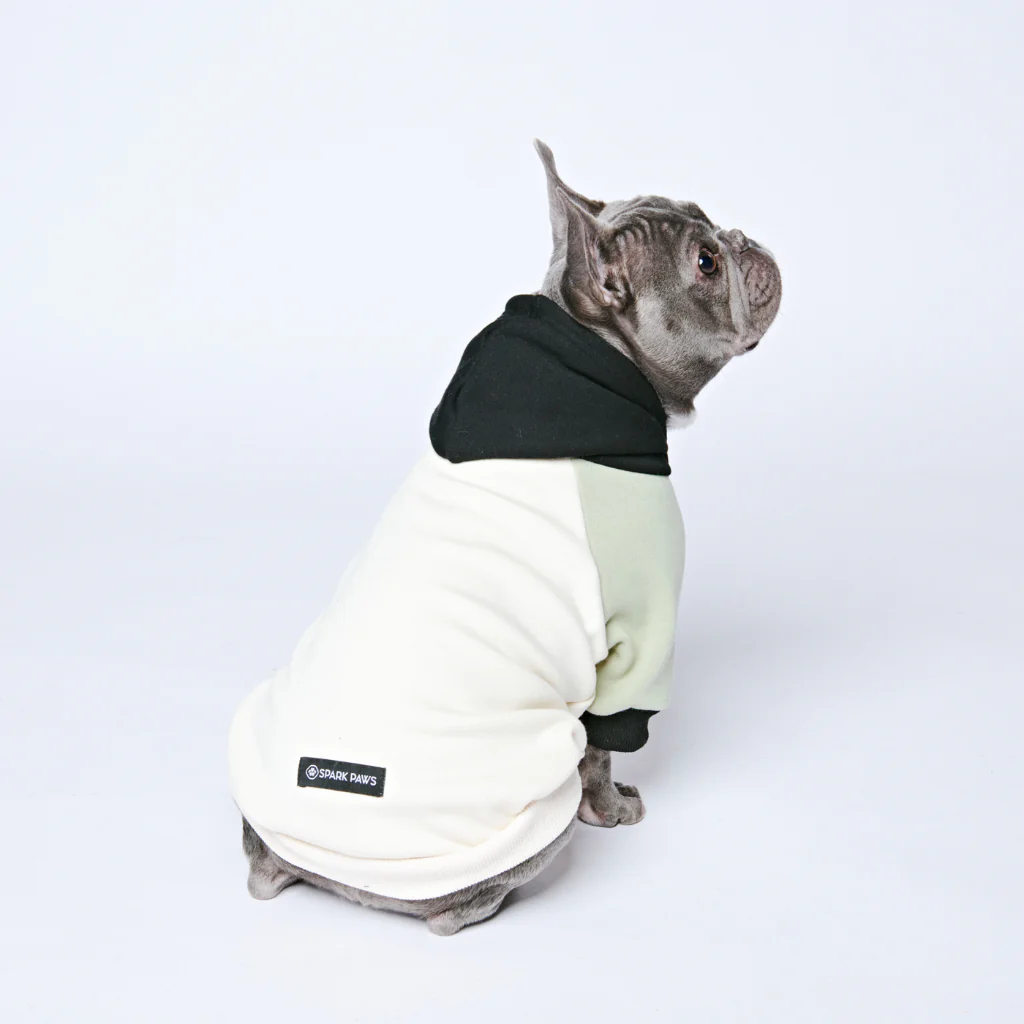 Maglione per Cani - Crema d'oliva - Image 11