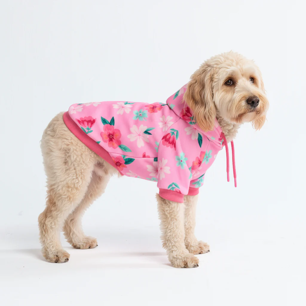Blossom Felpa per Cane - Rosa - Image 5