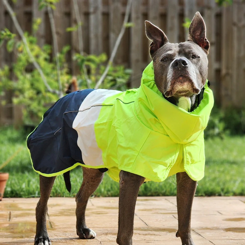 Impermeabile per cani Breatheshield™ - Image 22