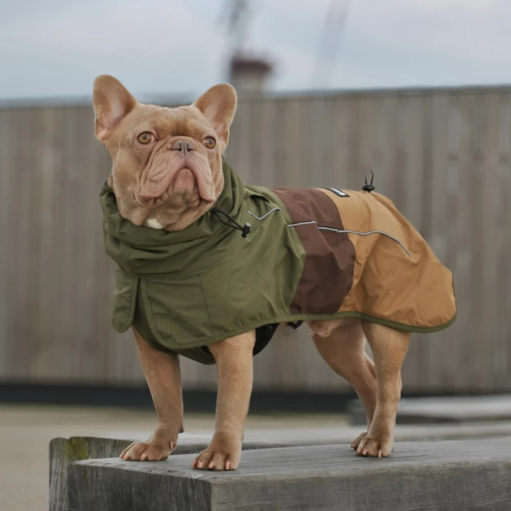 Impermeabile per cani Breatheshield™ - Verde Marrone Chiaro - Image 10