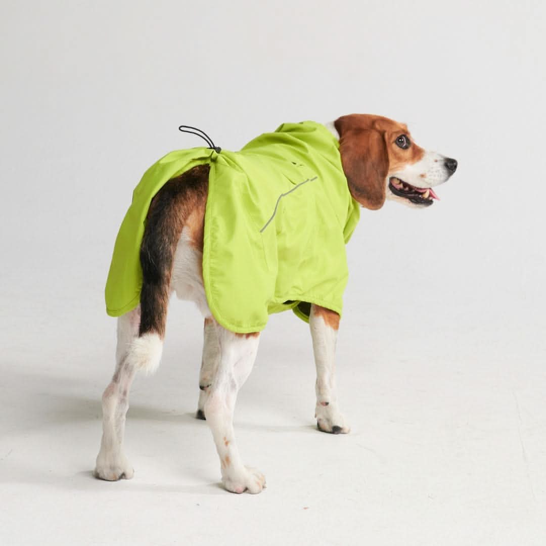 Impermeabile per cani Breatheshield™ - Image 55
