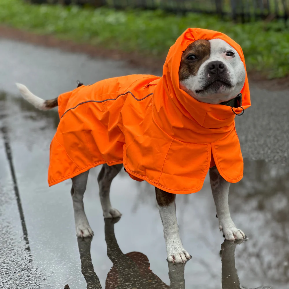 Impermeabile per cani Breatheshield™ - Image 72