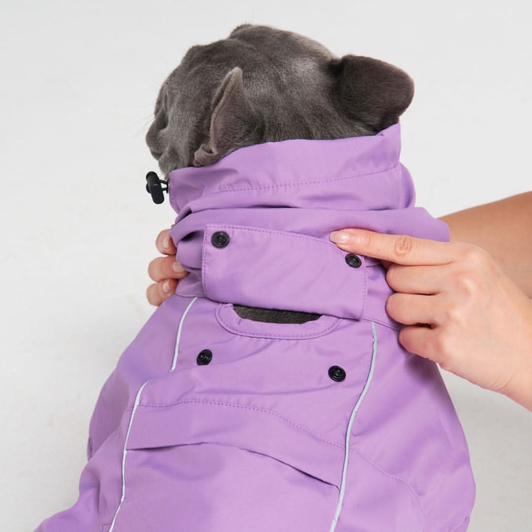 Impermeabile per cane Breatheshield™ - Viola - Image 3
