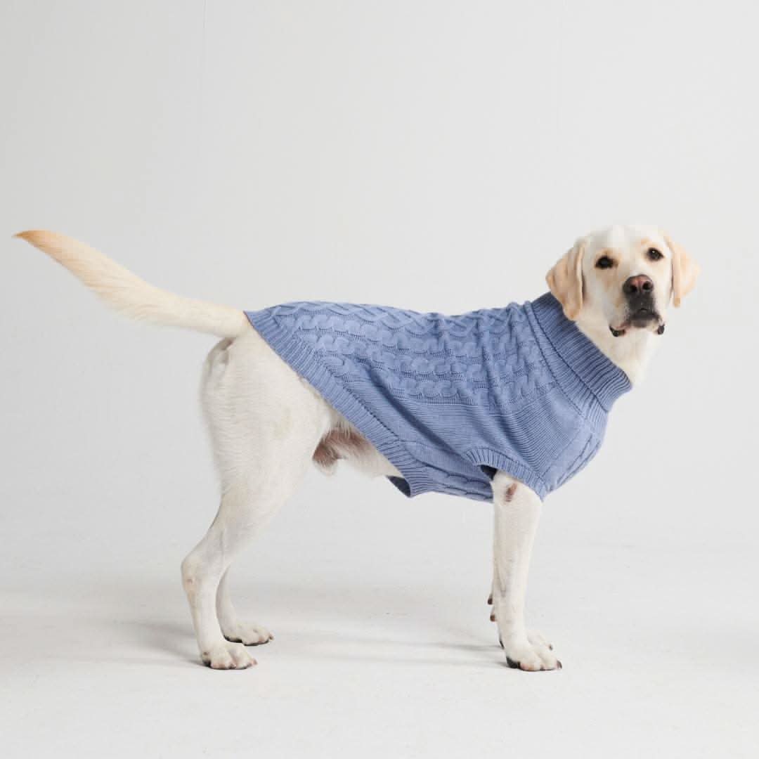 Maglione a trecce per can - Blu - Image 3