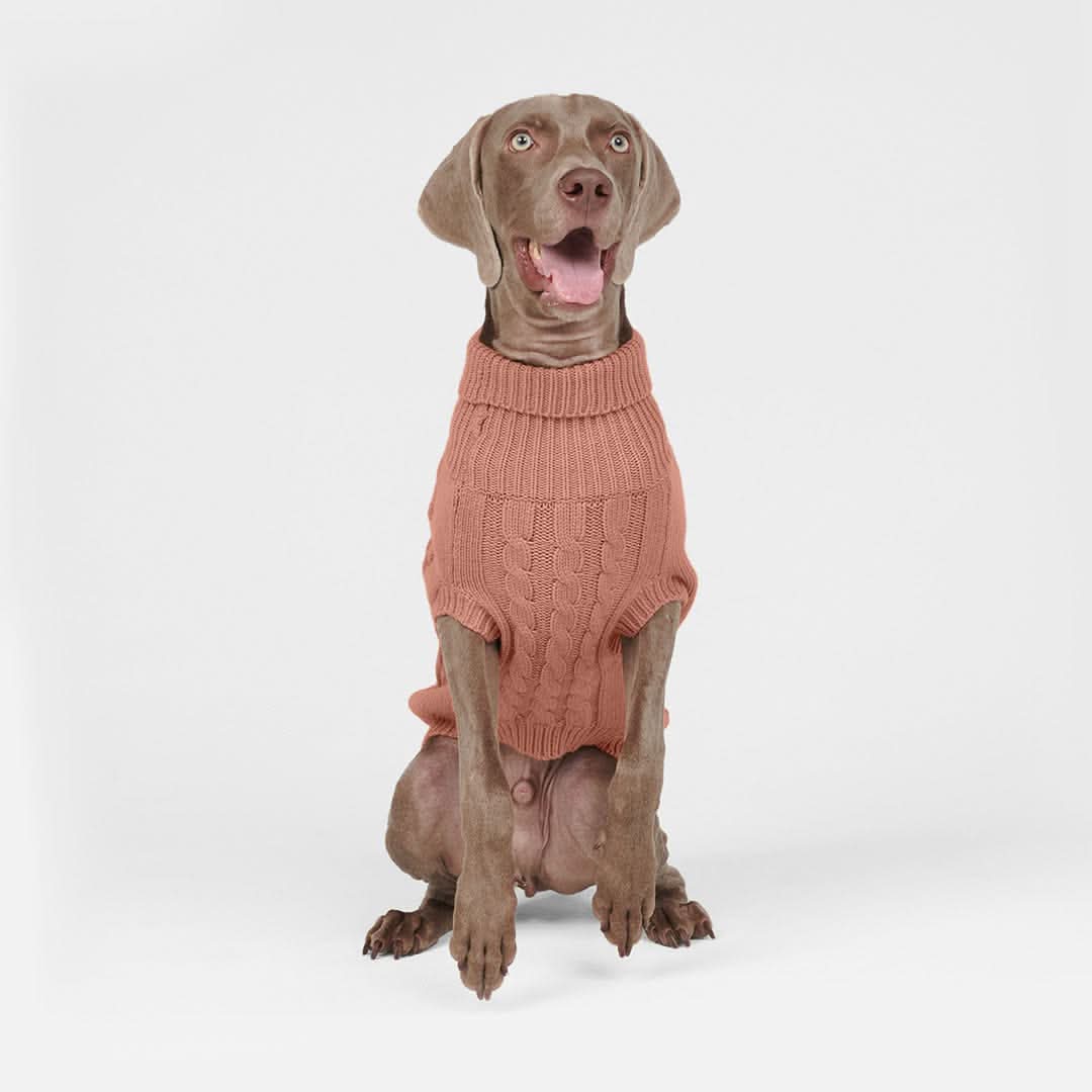 Maglione a trecce per can - Marrone - Image 3