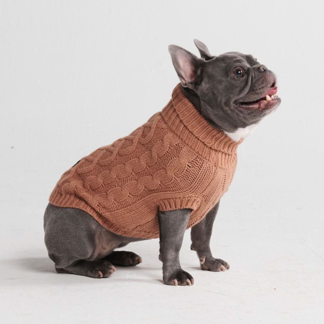 Maglione a trecce per can - Marrone - Image 4