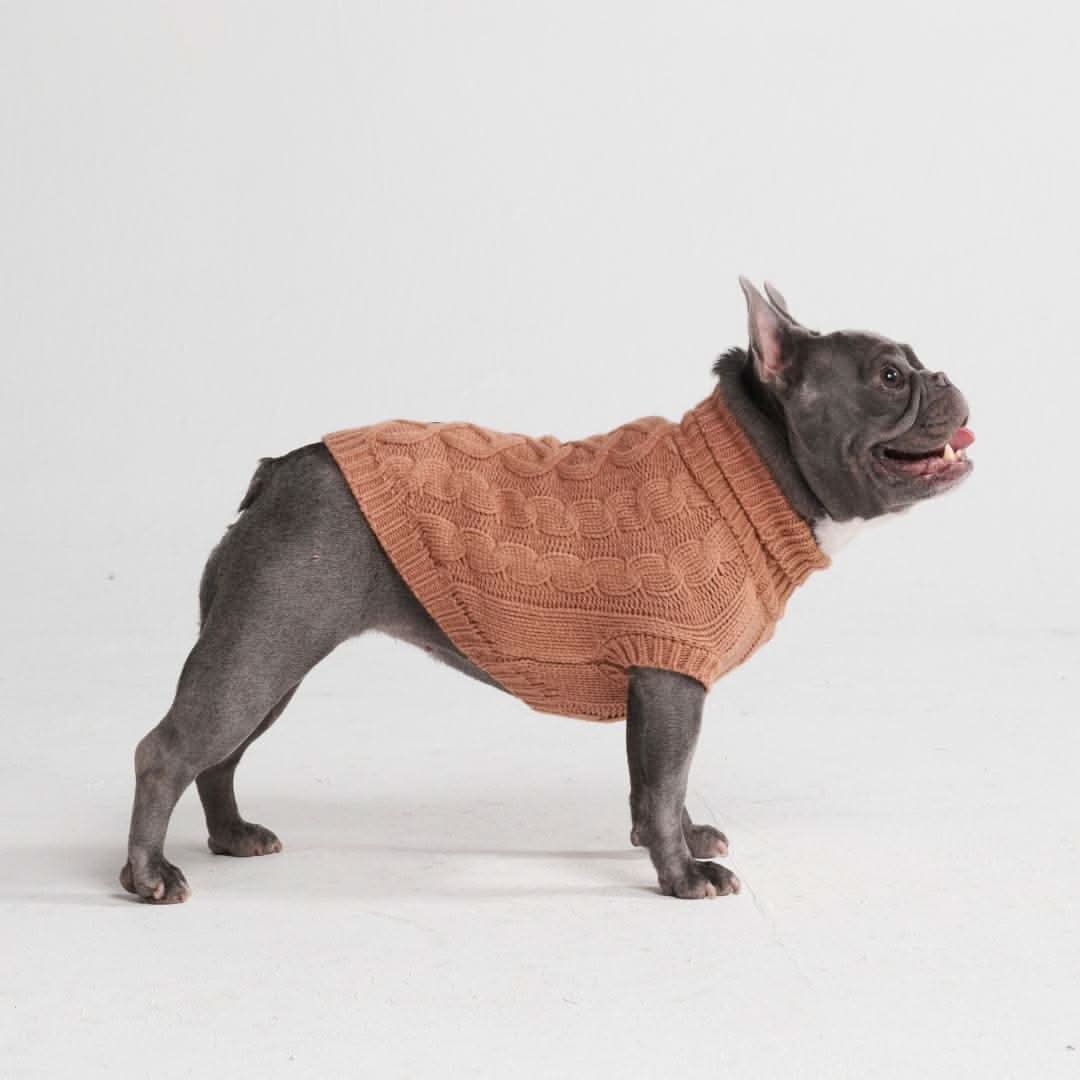 Maglione a trecce per can - Marrone - Image 6