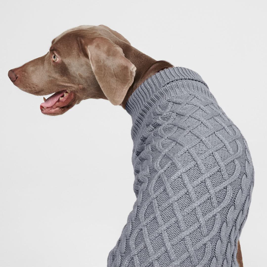 Maglione a trecce per can - Grigio - Image 4