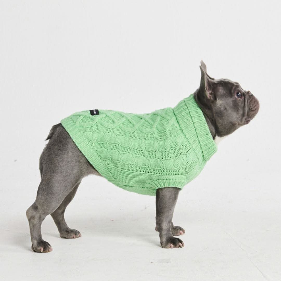 Maglione a trecce per can - Verde menta - Image 3