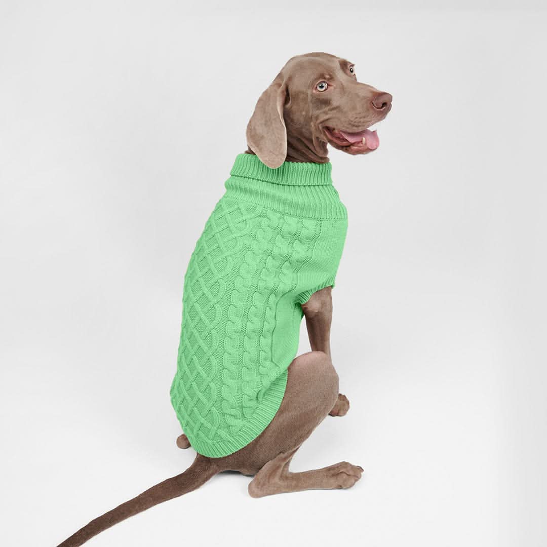 Maglione a trecce per can - Verde menta - Image 4