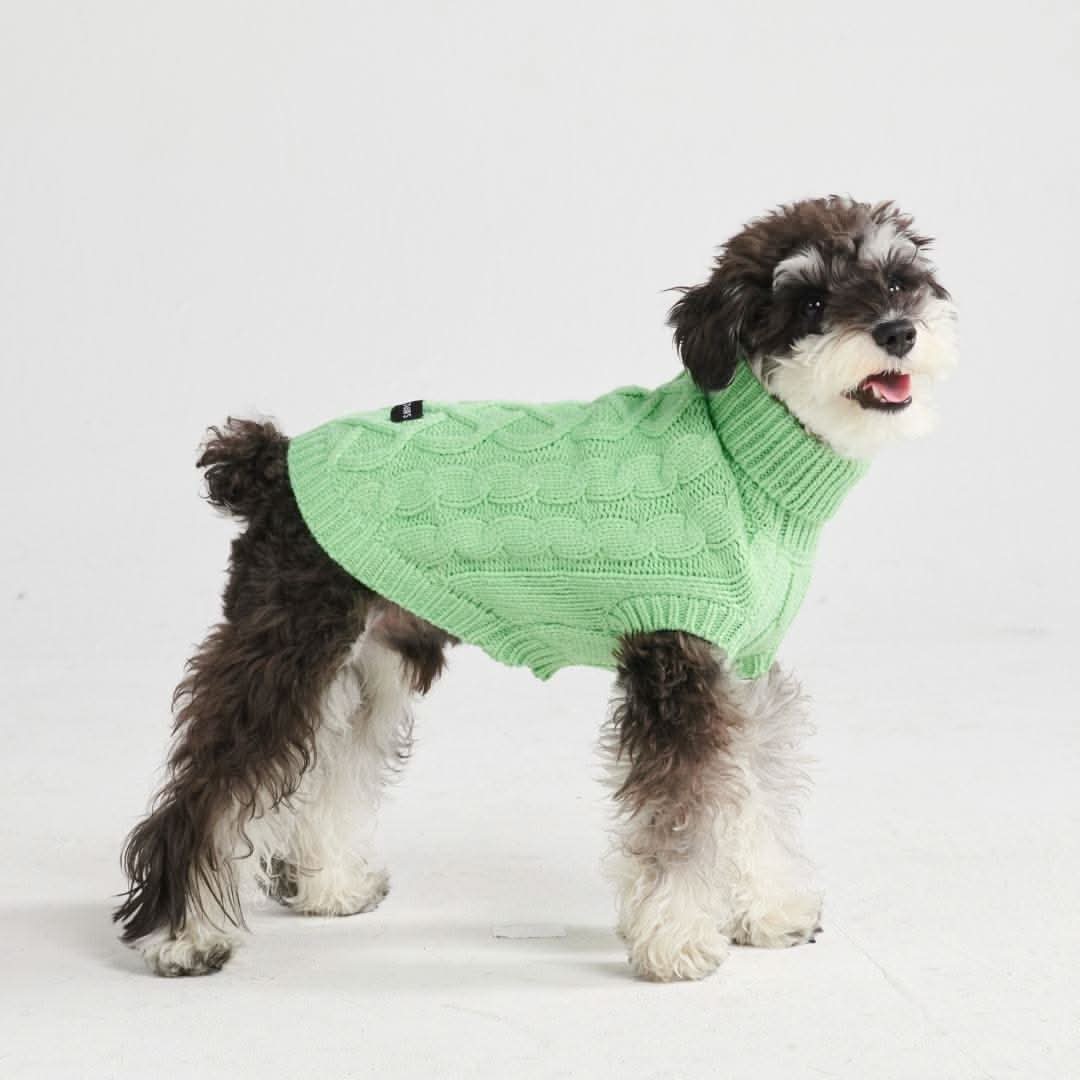 Maglione a trecce per can - Verde menta - Image 5