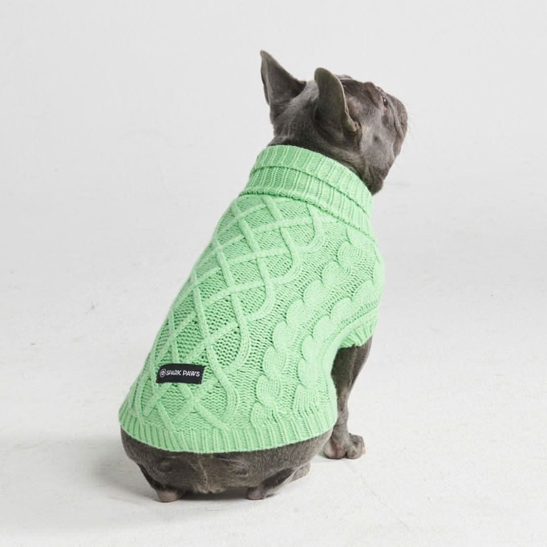 Maglione a trecce per can - Verde menta - Image 6