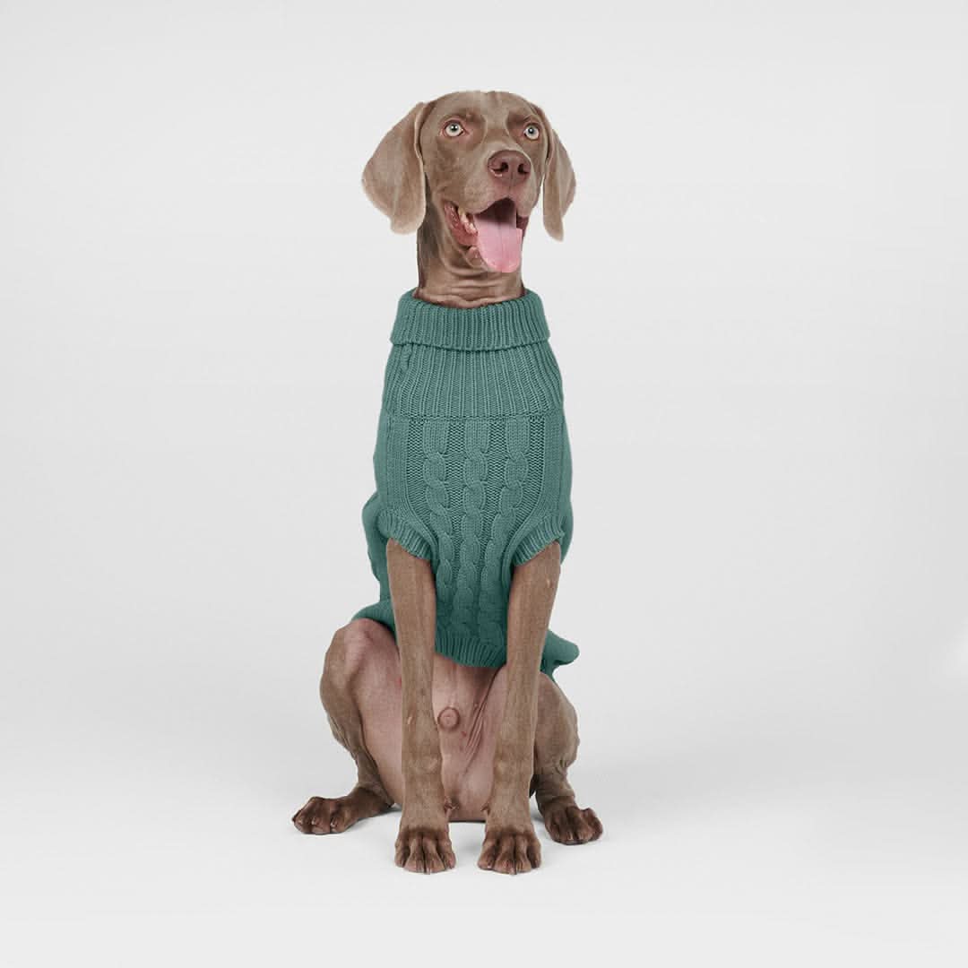 Maglione a trecce per can - Verde pino - Image 3