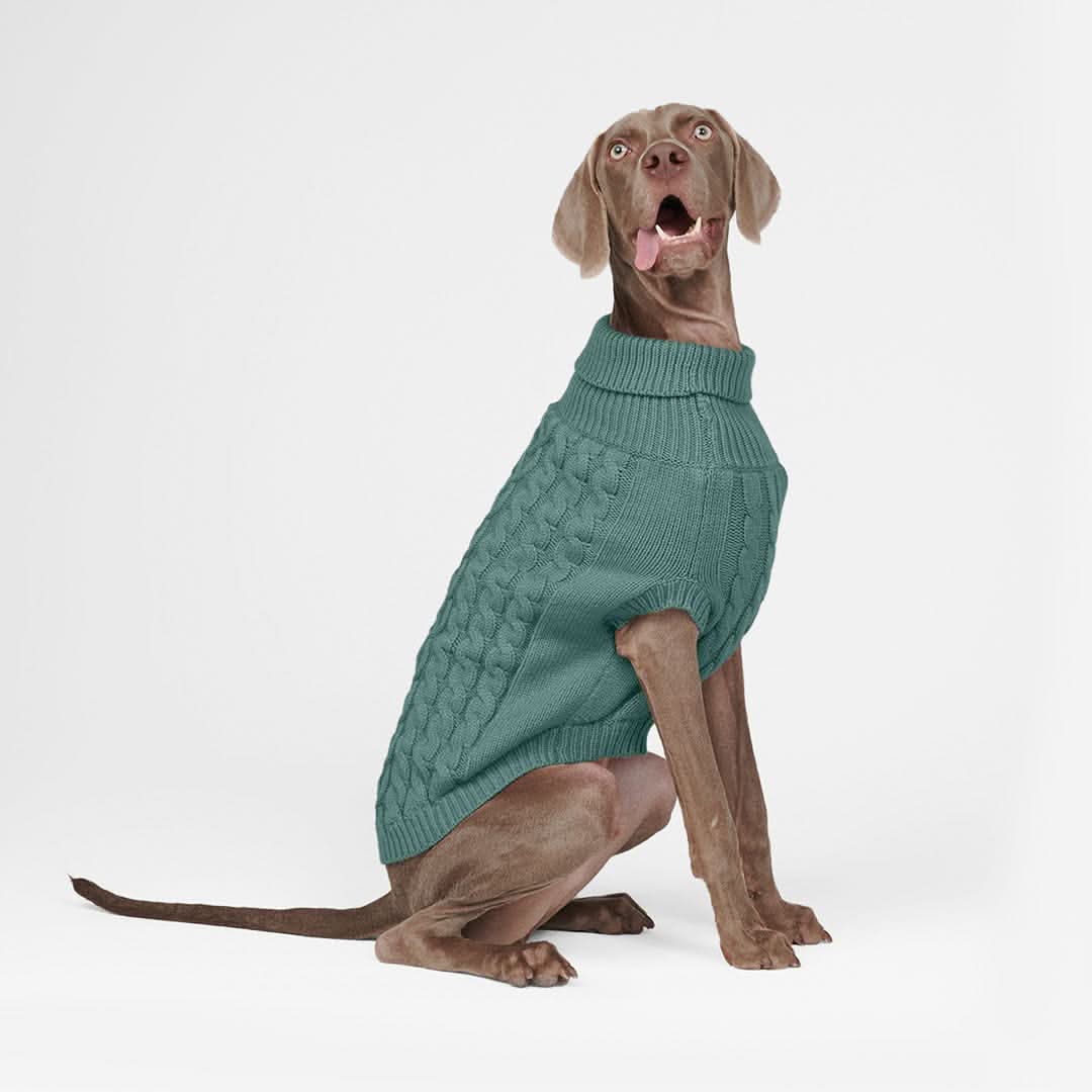Maglione a trecce per can - Verde pino - Image 5