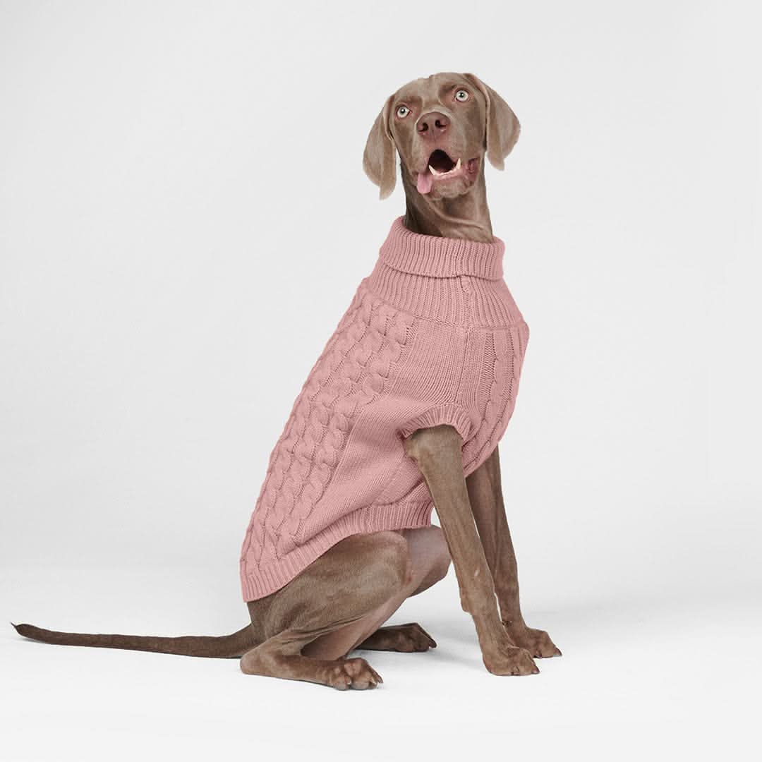 Maglione a trecce per can - Rosa - Image 4