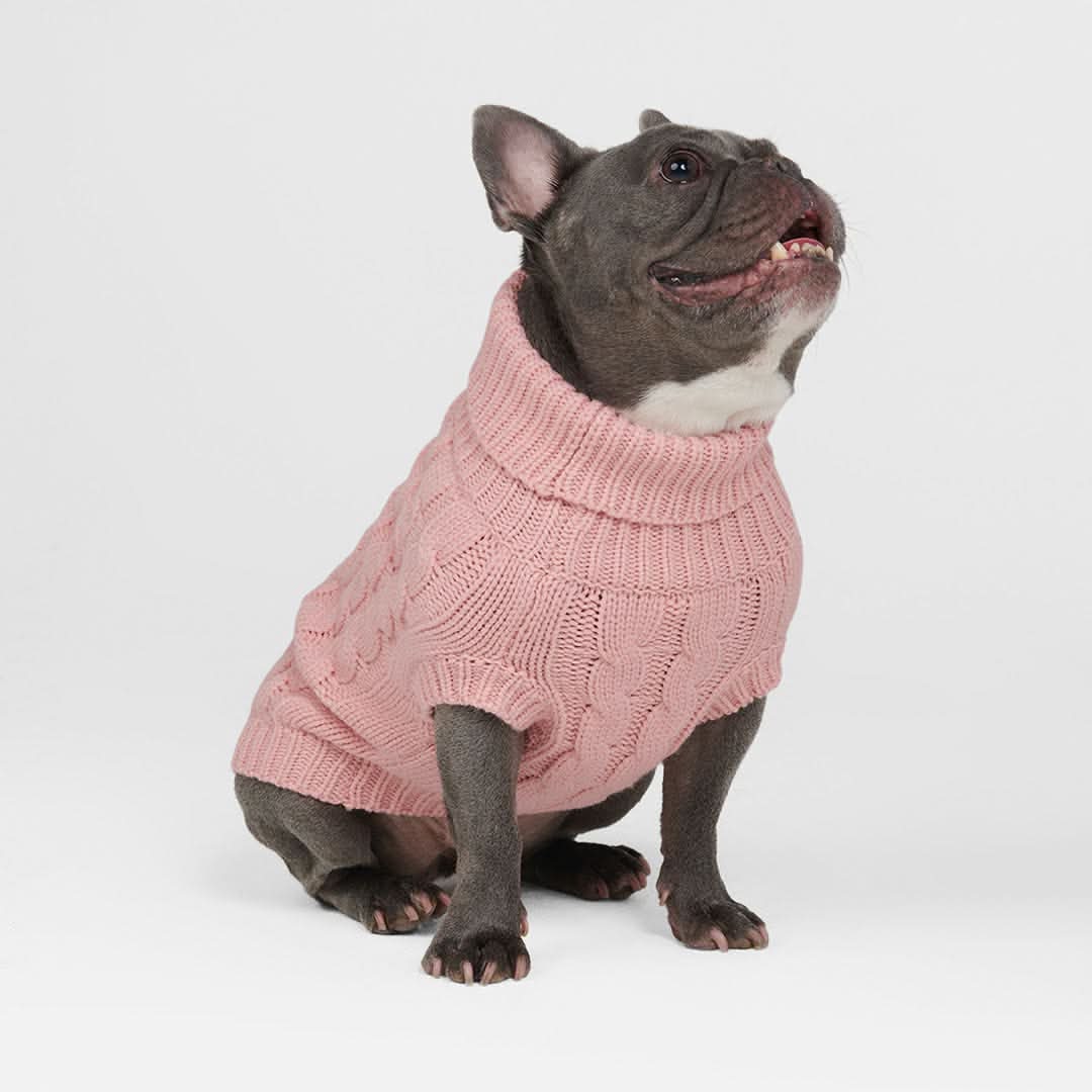 Maglione a trecce per can - Rosa - Image 5