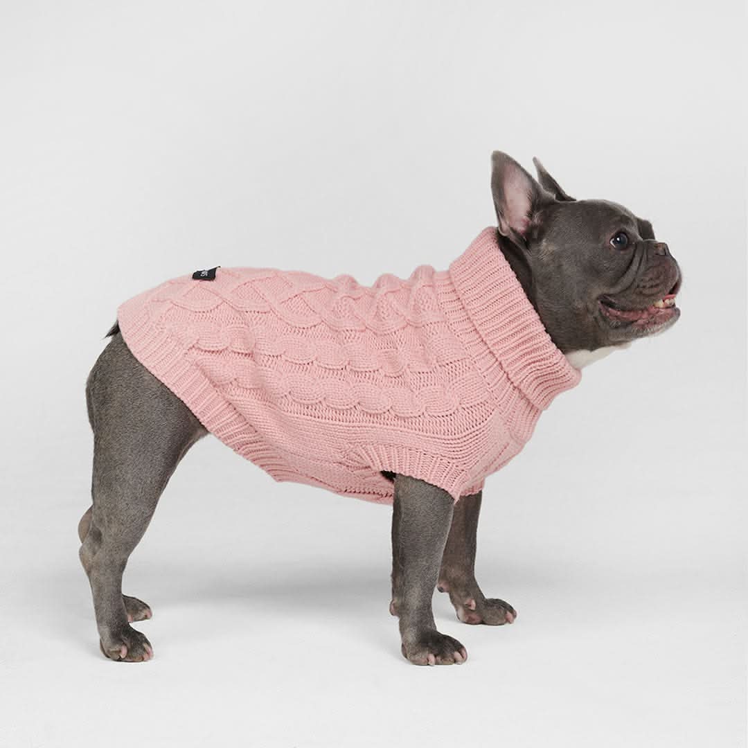 Maglione a trecce per can - Rosa - Image 6