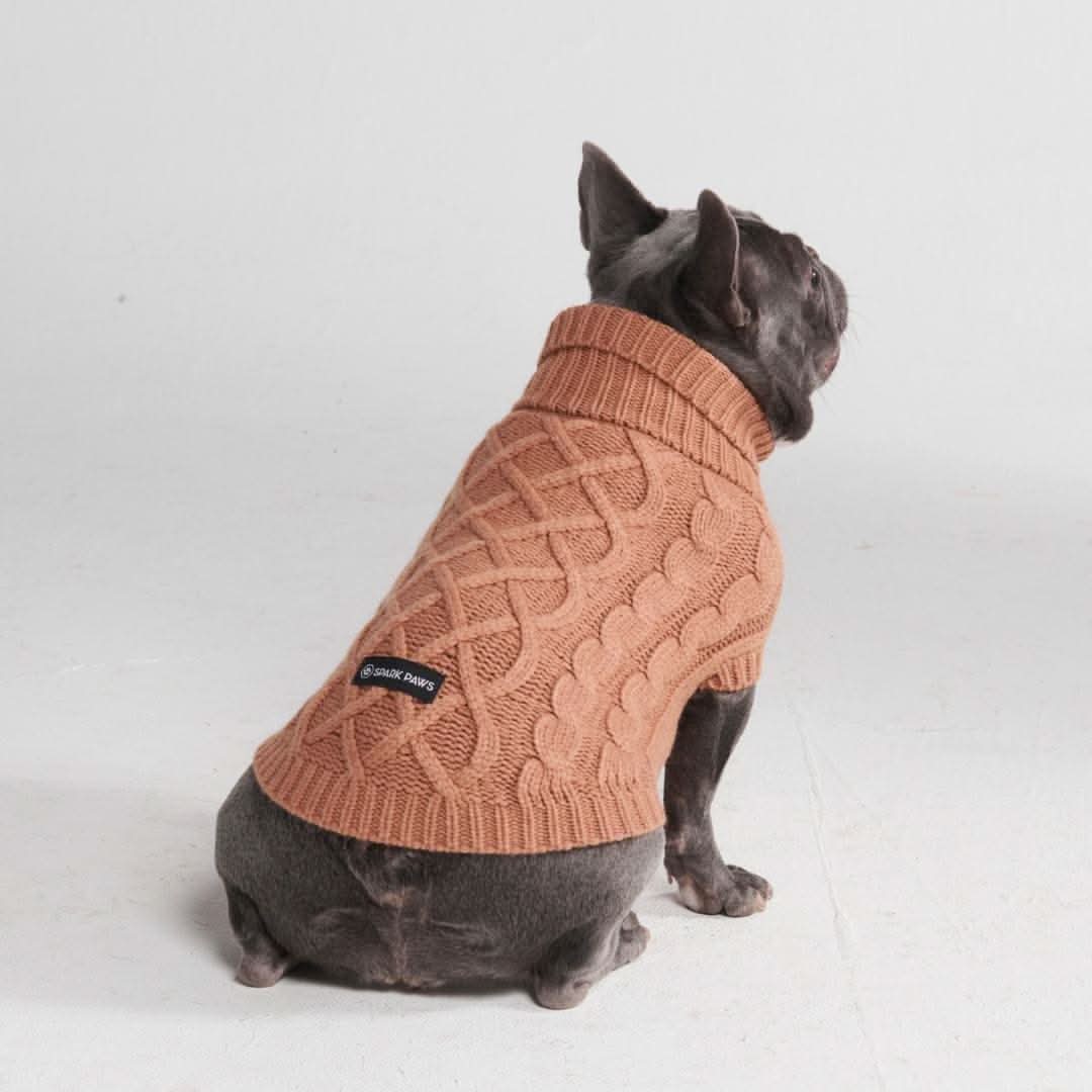 Maglione a trecce per can - Image 13