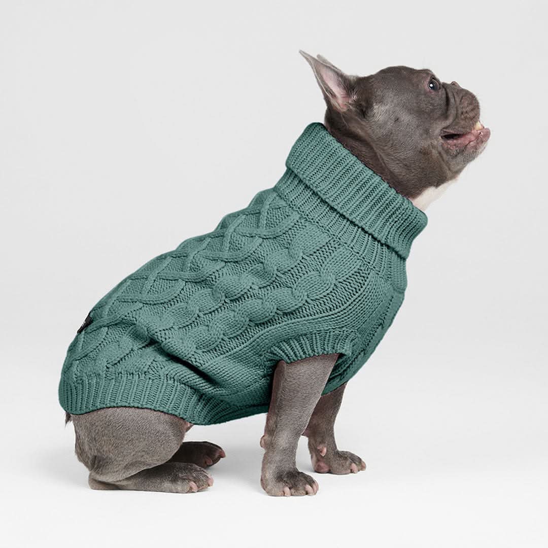 Maglione a trecce per can - Image 3