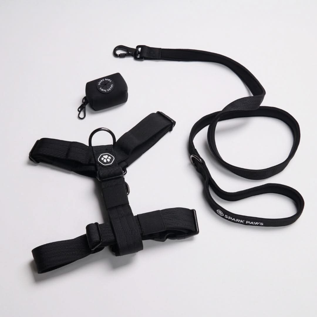 Set di imbracatura per cani Comfort Control No-Pull (Multicolore) - Image 22