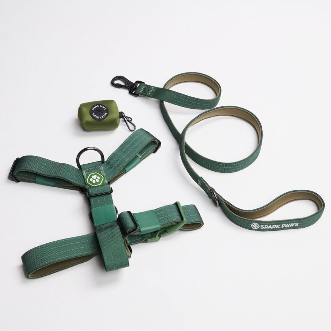 Set di imbracatura per cani Comfort Control No-Pull (Multicolore) - Image 29