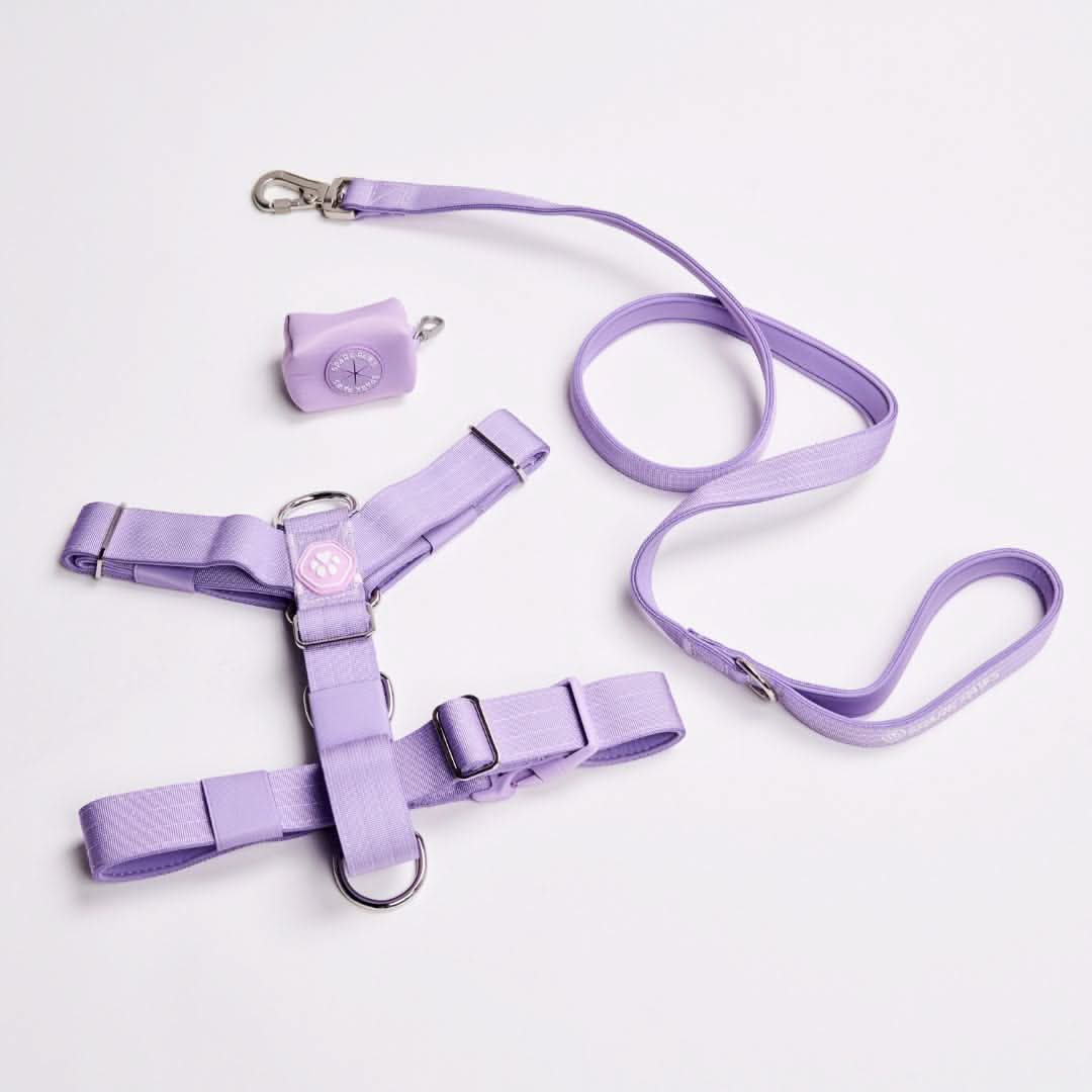 Set di imbracatura per cani Comfort Control No-Pull (Multicolore) - Image 43