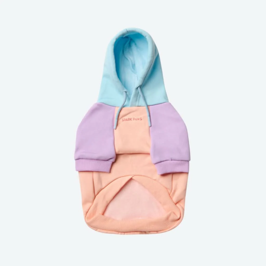 Maglione per Cani - Zucchero filato - Image 8