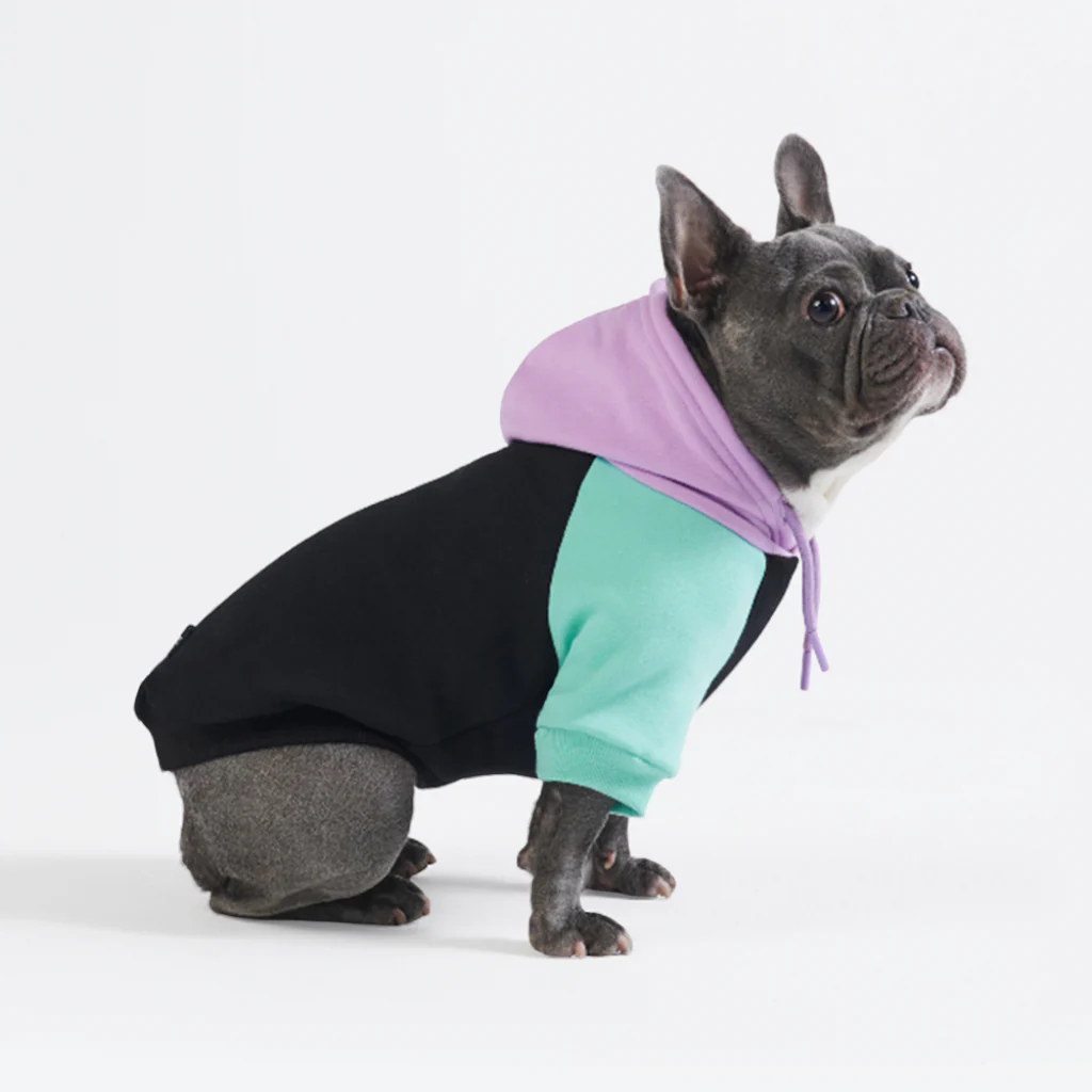 Maglione per Cani - Cyberpunk - Image 4