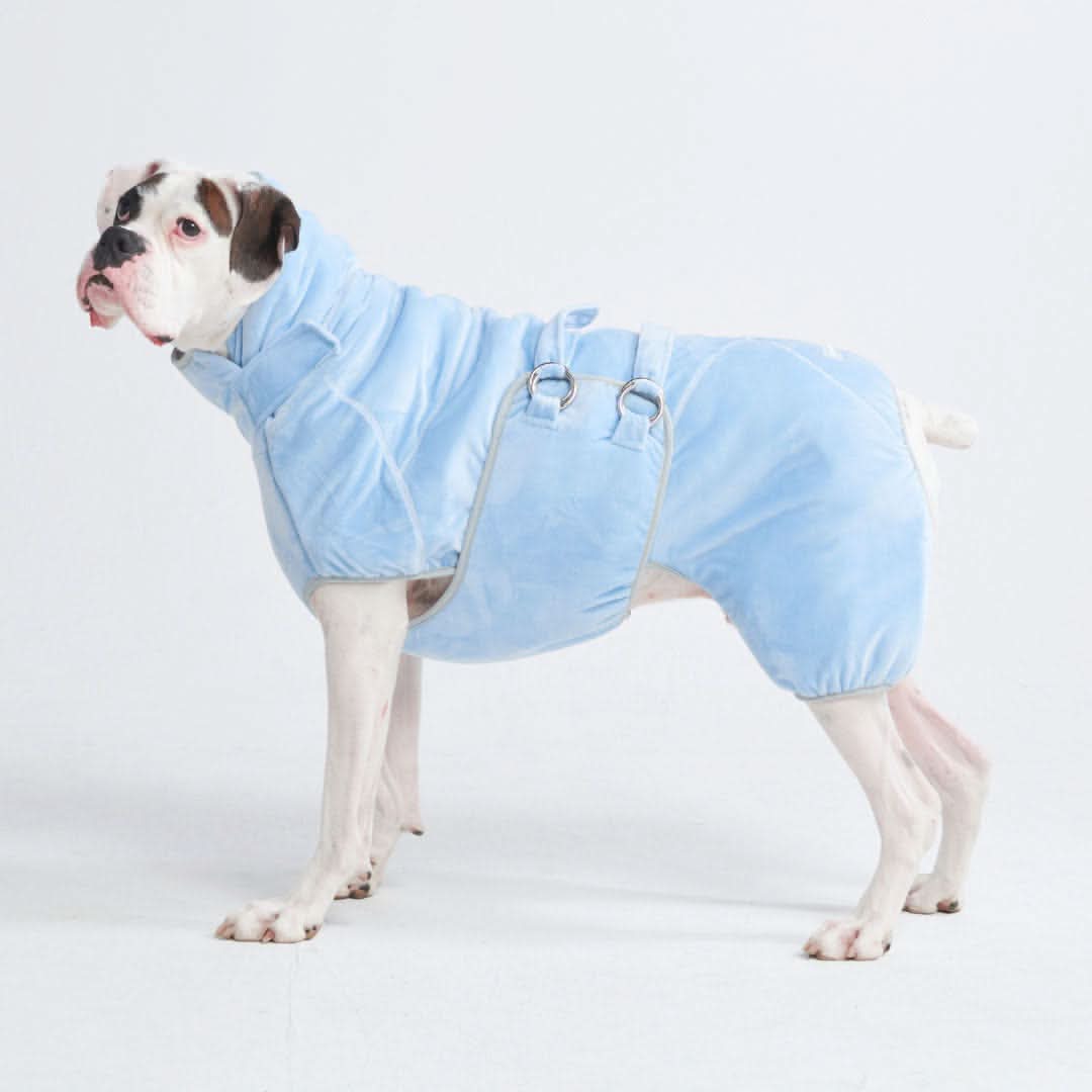 Accappatoio per cani asciutto in 10 minuti - Image 3