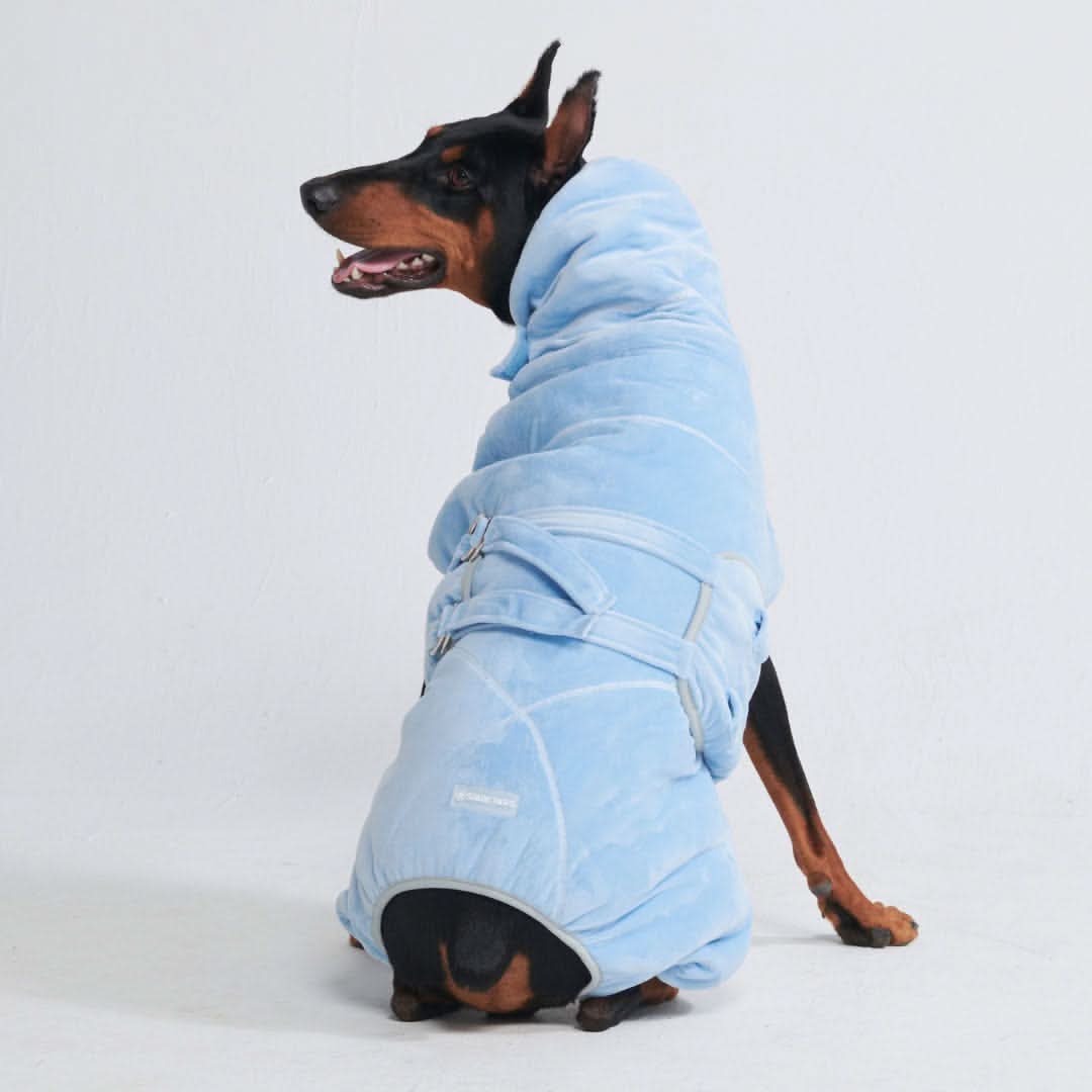 Accappatoio per cani asciutto in 10 minuti - Image 4